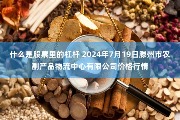   什么是股票里的杠杆 2024年7月19日滕州市农副产品物流中心有限公司价格行情