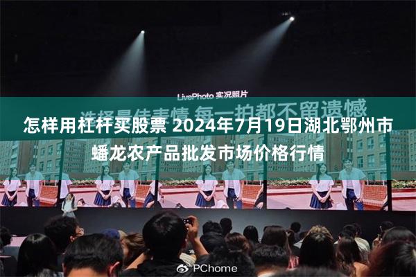 怎样用杠杆买股票 2024年7月19日湖北鄂州市蟠龙农产品批发市场价格行情