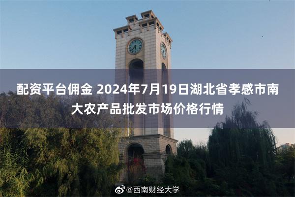   配资平台佣金 2024年7月19日湖北省孝感市南大农产品批发市场价格行情