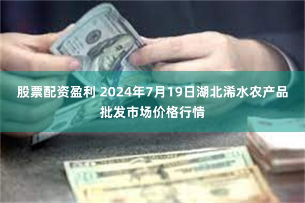 股票配资盈利 2024年7月19日湖北浠水农产品批发市场价格行情