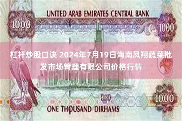 杠杆炒股口诀 2024年7月19日海南凤翔蔬菜批发市场管理有限公司价格行情