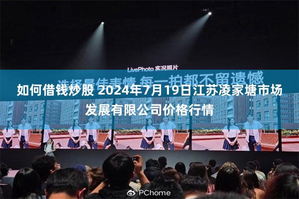 如何借钱炒股 2024年7月19日江苏凌家塘市场发展有限公司价格行情