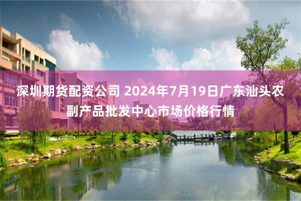   深圳期货配资公司 2024年7月19日广东汕头农副产品批发中心市场价格行情