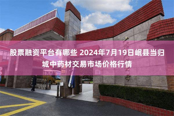 股票融资平台有哪些 2024年7月19日岷县当归城中药材交易市场价格行情