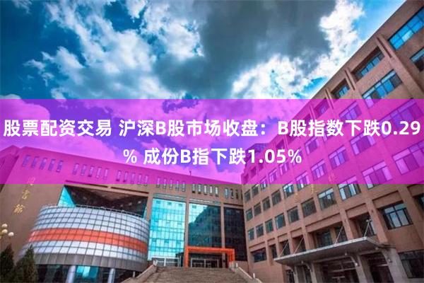 股票配资交易 沪深B股市场收盘：B股指数下跌0.29% 成份