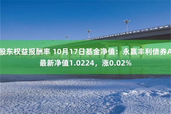 股东权益报酬率 10月17日基金净值：永赢丰利债券A最新净值1.0224，涨0.02%