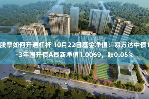 股票如何开通杠杆 10月22日基金净值：易方达中债1-3年国