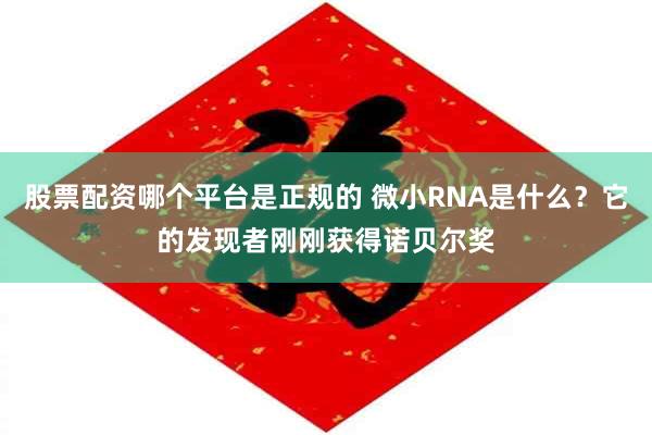 股票配资哪个平台是正规的 微小RNA是什么？它的发现者刚刚获