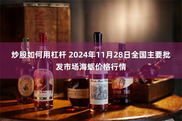 炒股如何用杠杆 2024年11月28日全国主要批发市场海蛎价