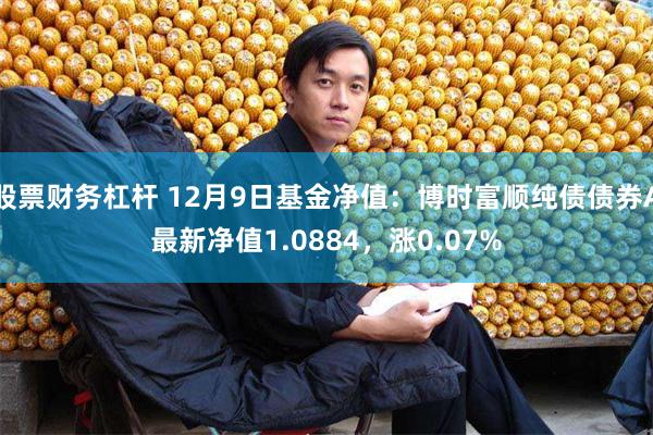 股票财务杠杆 12月9日基金净值：博时富顺纯债债券A最新净值