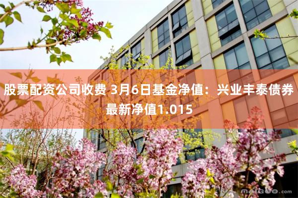 股票配资公司收费 3月6日基金净值：兴业丰泰债券最新净值1.015