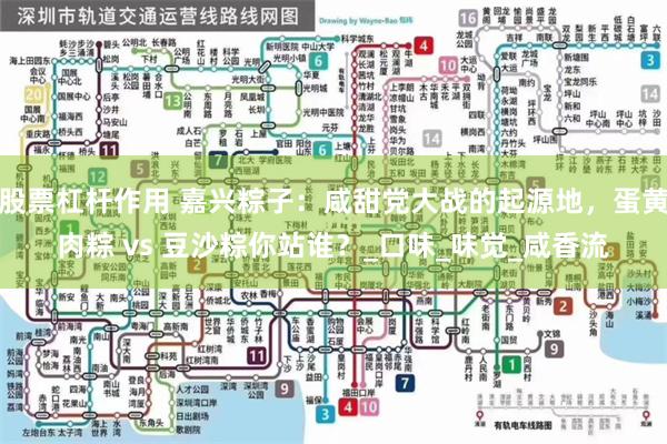   股票杠杆作用 嘉兴粽子：咸甜党大战的起源地，蛋黄肉粽 vs 豆沙粽你站谁？_口味_味觉_咸香流