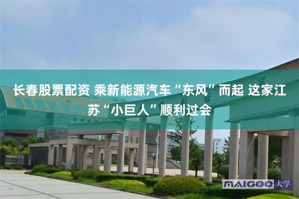   长春股票配资 乘新能源汽车“东风”而起 这家江苏“小巨人”顺利过会