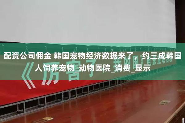   配资公司佣金 韩国宠物经济数据来了，约三成韩国人饲养宠物_动物医院_消费_显示